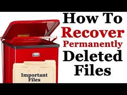 How To Recover Permanently Deleted Files In Windows Without Software